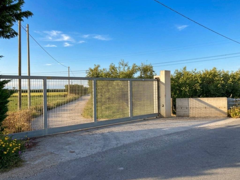 terreno agricolo in vendita a Cerignola in zona Moschella