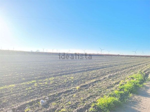 terreno in vendita a Cerignola