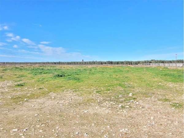 terreno agricolo in vendita a Cerignola in zona Moschella