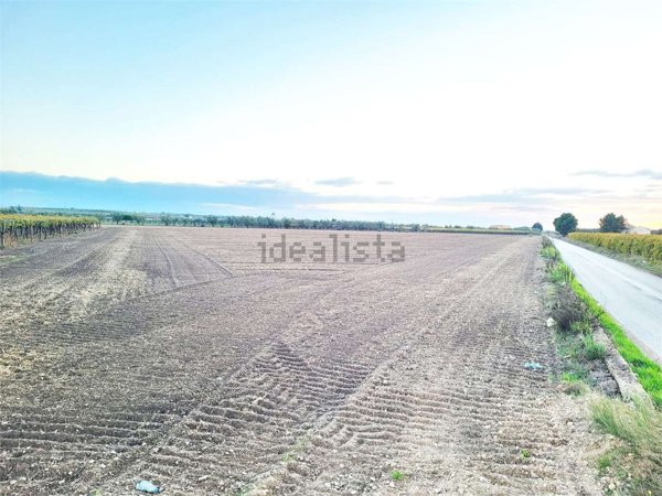terreno in vendita a Cerignola
