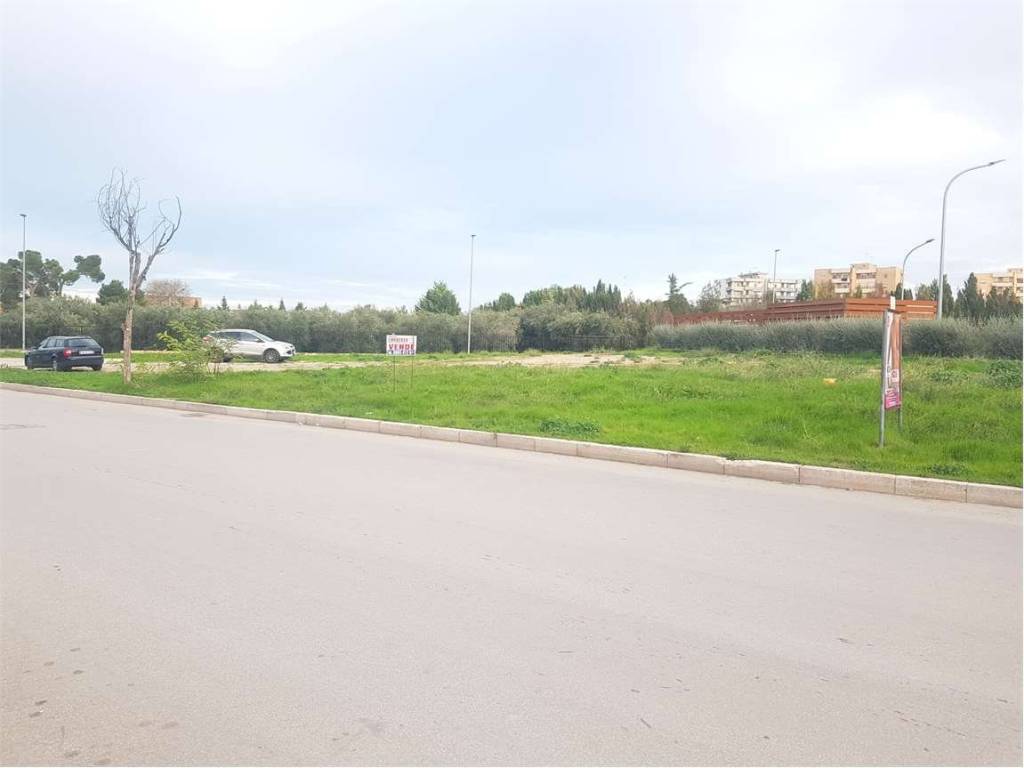 terreno agricolo in vendita a Cerignola in zona Centro Città
