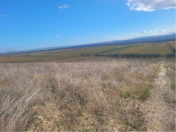 terreno agricolo in vendita a Cerignola in zona Moschella