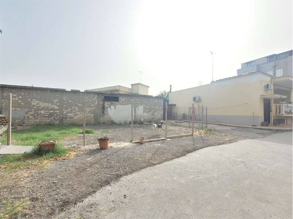 terreno agricolo in vendita a Cerignola