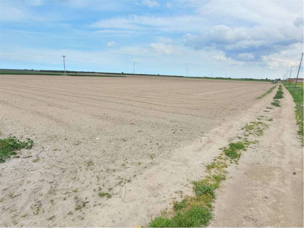 terreno agricolo in vendita a Cerignola in zona Moschella