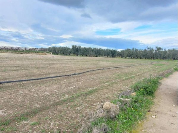terreno agricolo in vendita a Cerignola in zona Moschella