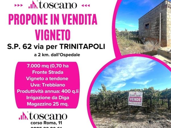 terreno in vendita a Cerignola
