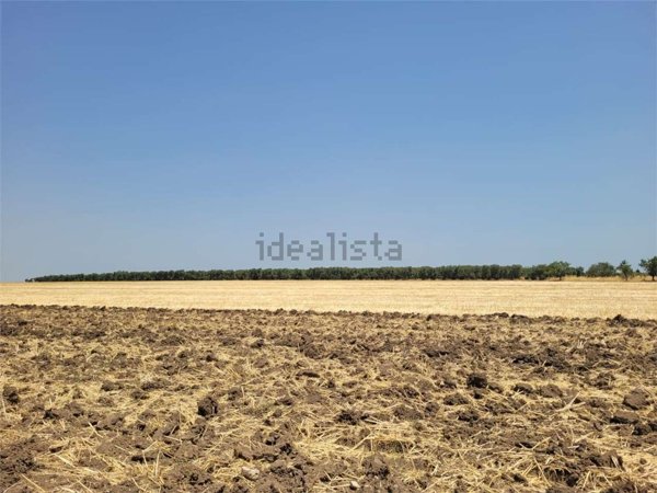 terreno in vendita a Cerignola