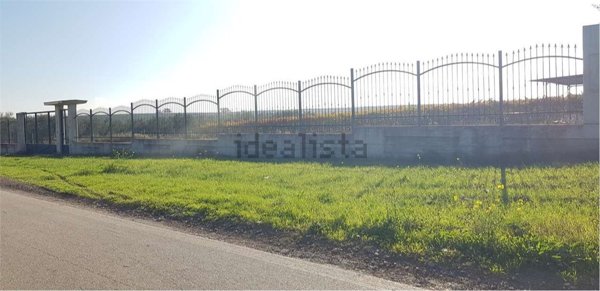 terreno in vendita a Cerignola in zona Moschella