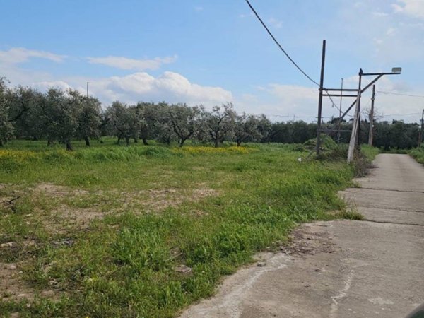terreno agricolo in vendita a Cerignola in zona Moschella