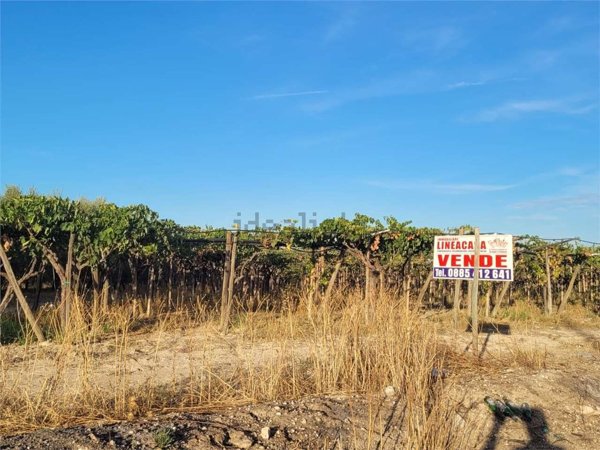 terreno in vendita a Cerignola