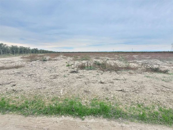 terreno in vendita a Cerignola
