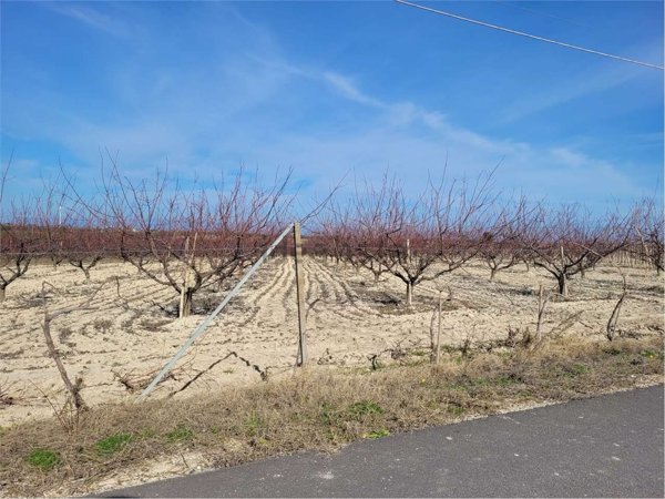 terreno in vendita a Cerignola in zona Moschella
