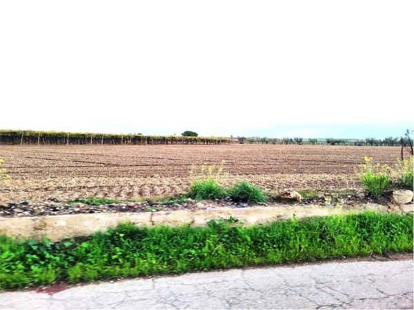 terreno in vendita a Cerignola