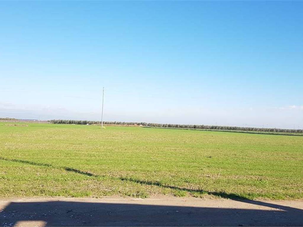 terreno agricolo in vendita a Cerignola in zona Moschella