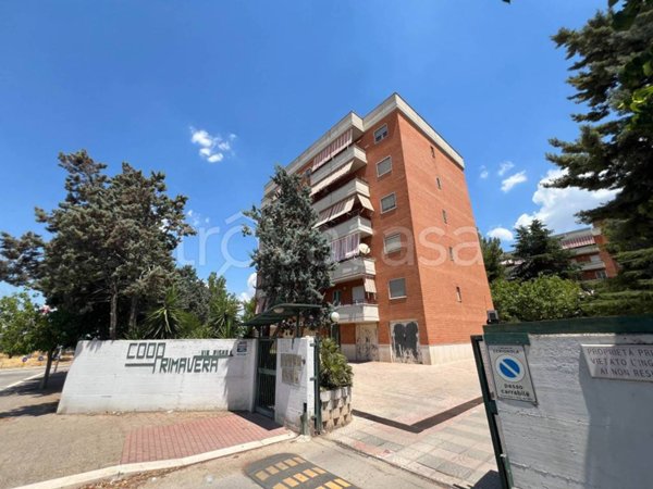 appartamento in vendita a Cerignola