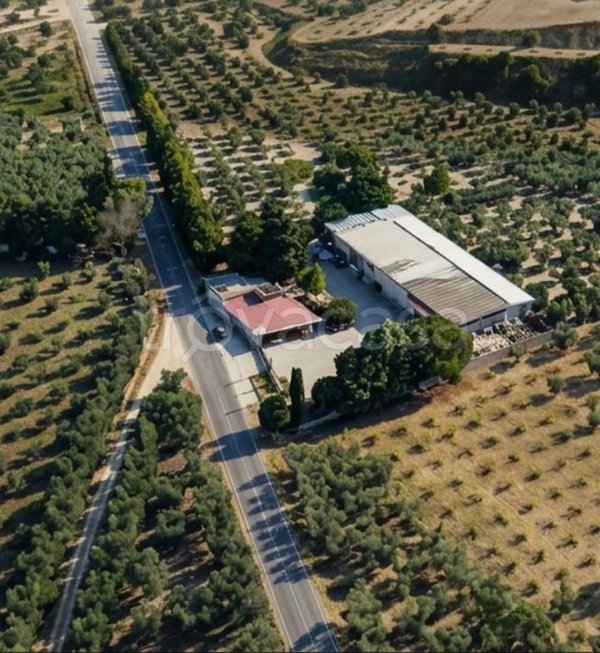 locale commerciale in vendita a Cerignola in zona Moschella