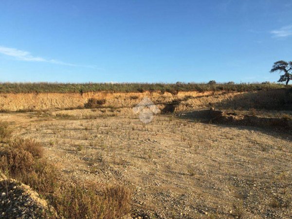 terreno agricolo in vendita a Chieuti