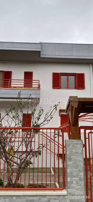 immagine annuncio 0 di 15