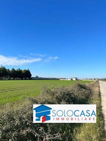 terreno agricolo in vendita a Foggia in zona Camporeale