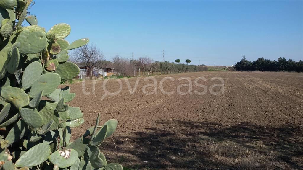 terreno agricolo in vendita a Foggia in zona Tavernola
