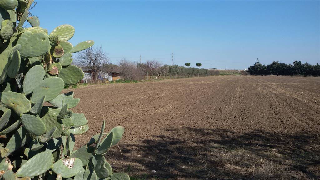terreno agricolo in vendita a Foggia