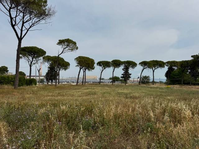 terreno agricolo in vendita a Foggia in zona Fiera