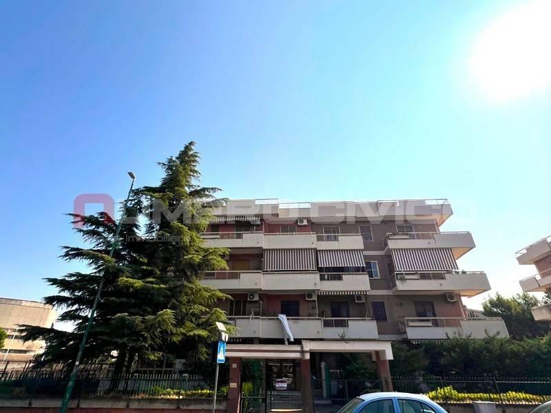 appartamento in vendita a Foggia in zona Macchia Gialla