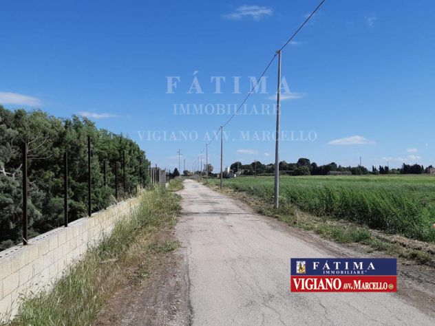 terreno agricolo in vendita a Foggia