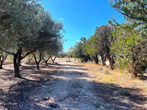 appartamento in vendita a Foggia