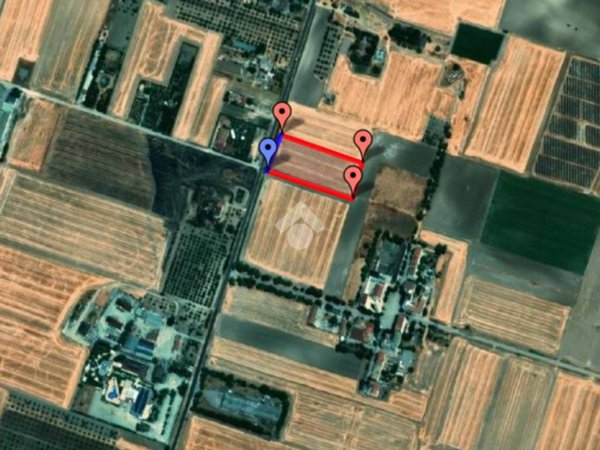 terreno agricolo in vendita a Foggia