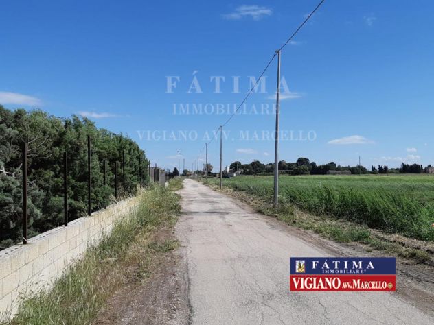 terreno agricolo in vendita a Foggia