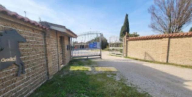negozio in vendita a Foggia in zona Immacolata / San Pio X