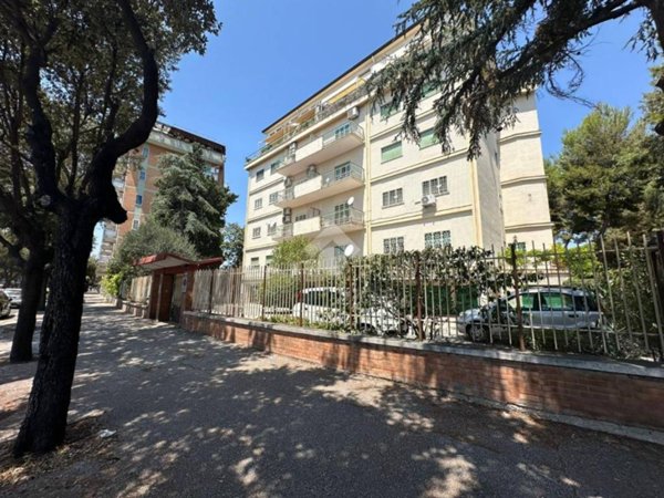 appartamento in vendita a Foggia in zona Macchia Gialla