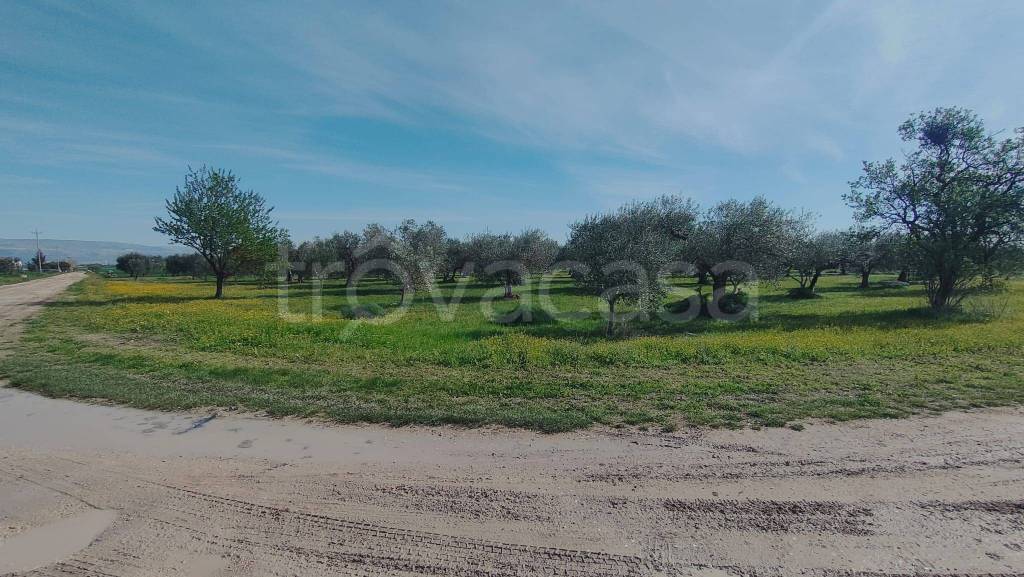 terreno agricolo in vendita a Foggia in zona Arpinova