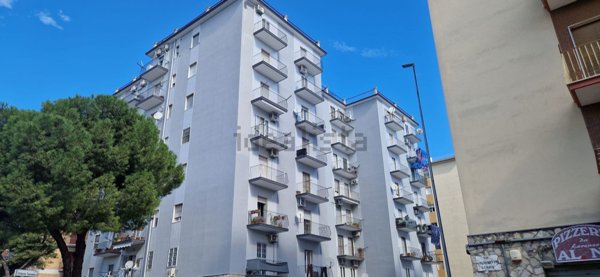appartamento in vendita a Foggia in zona San Ciro