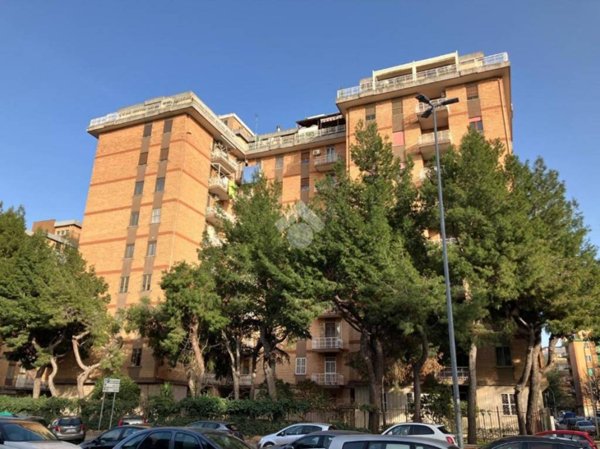 appartamento in vendita a Foggia in zona Immacolata / San Pio X