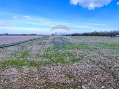 terreno agricolo in vendita a Foggia