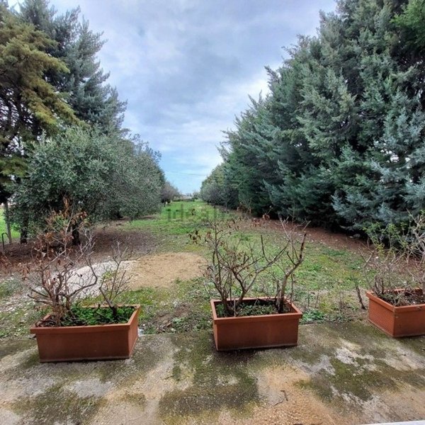 appartamento in vendita a Foggia