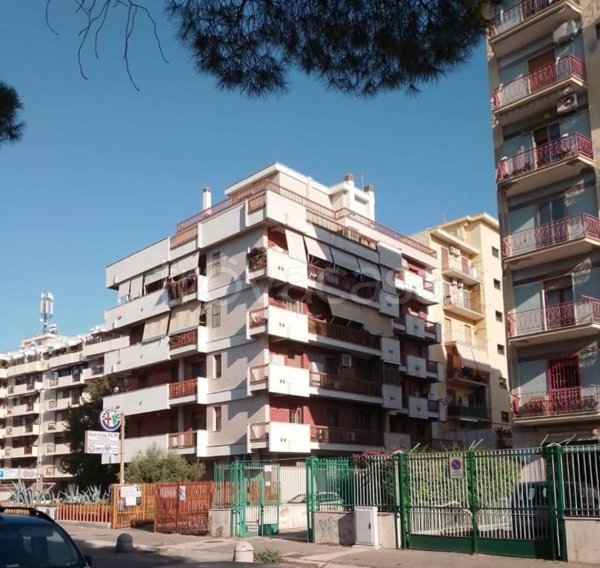 appartamento in vendita a Foggia in zona Immacolata / San Pio X