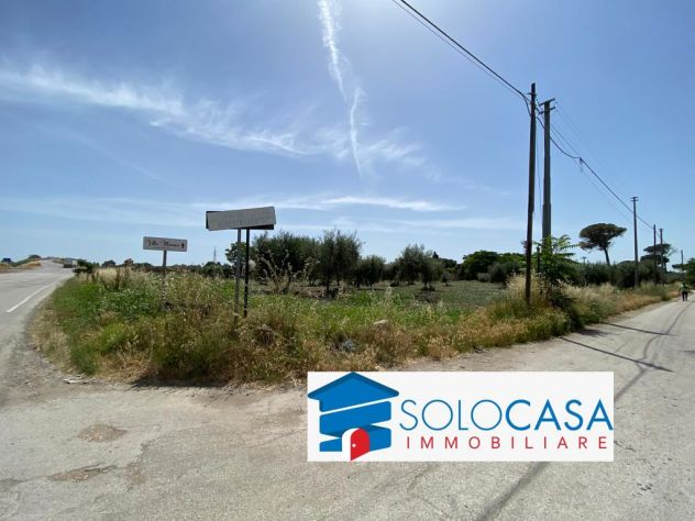 terreno agricolo in vendita a Foggia