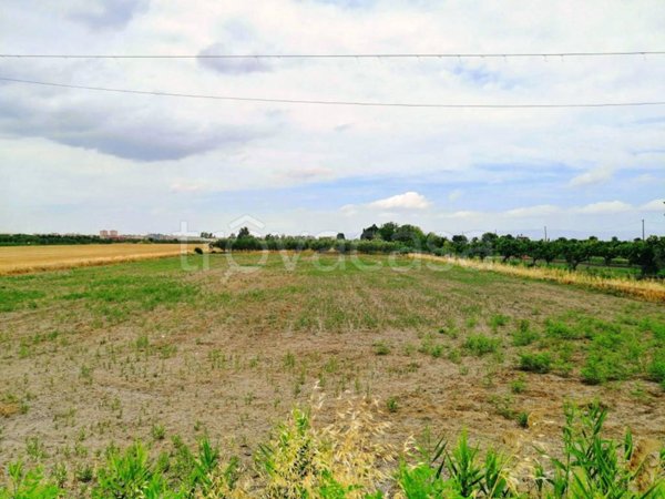 terreno agricolo in vendita a Foggia