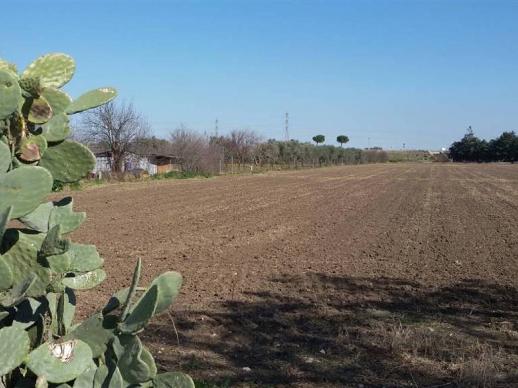 terreno agricolo in vendita a Foggia in zona Incoronata