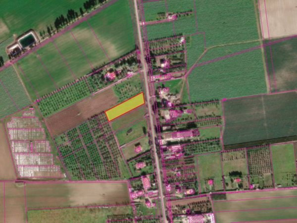 terreno agricolo in vendita a Foggia