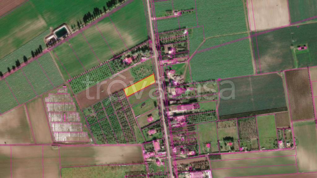 terreno agricolo in vendita a Foggia