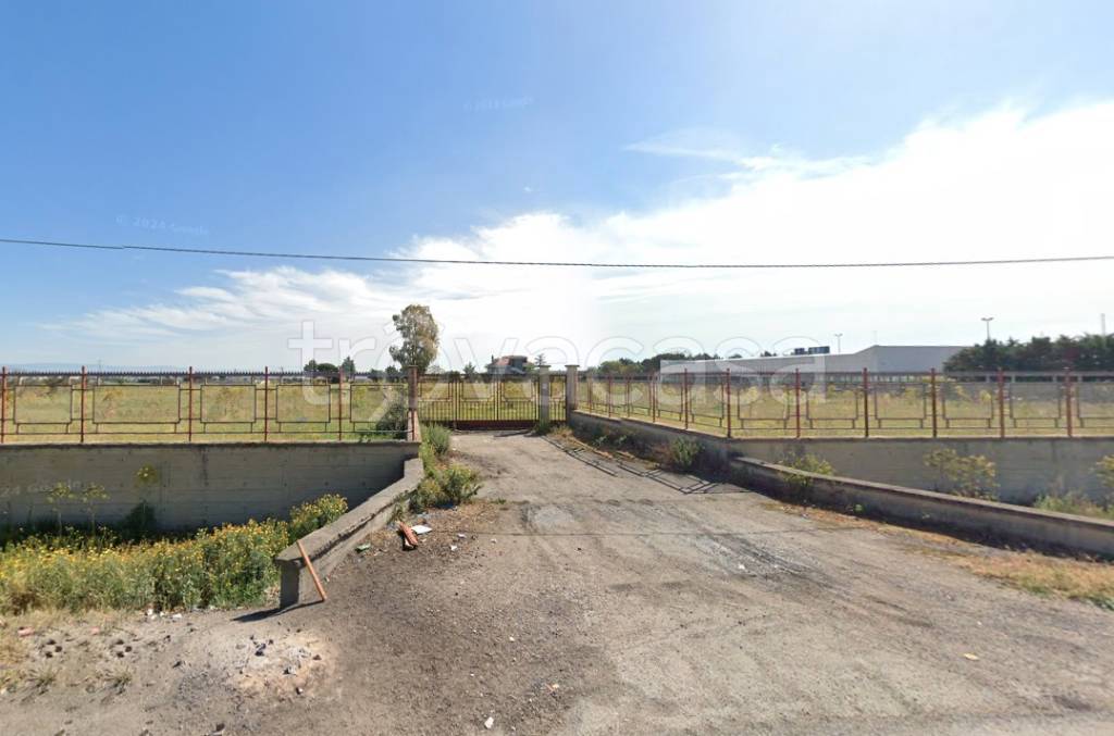 terreno agricolo in vendita a Foggia