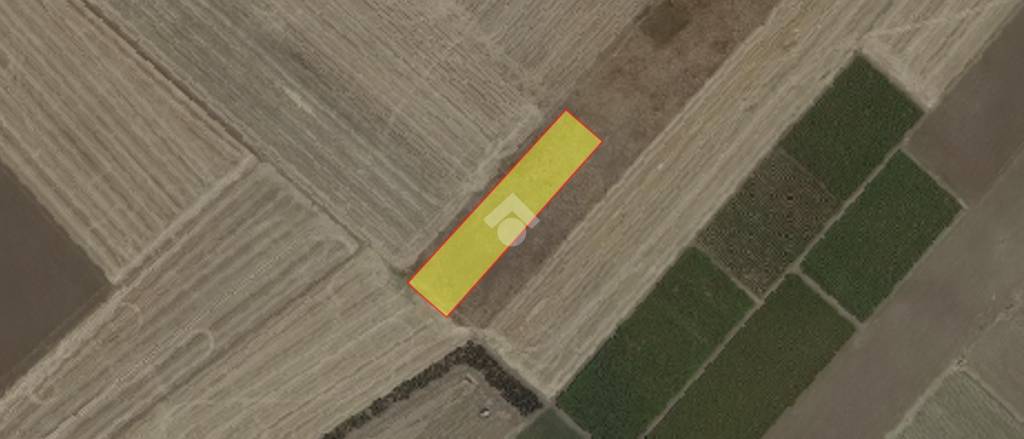 terreno agricolo in vendita a Foggia