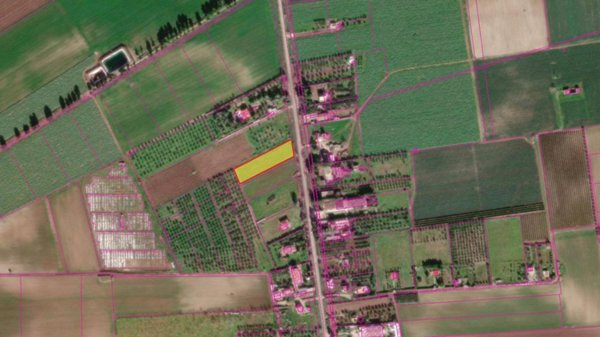 terreno agricolo in vendita a Foggia