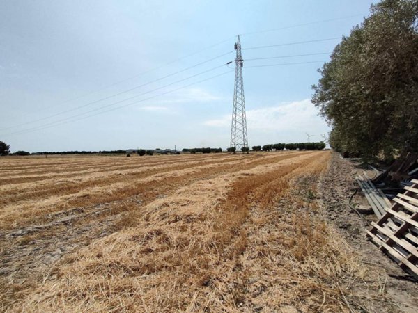 terreno agricolo in vendita a Foggia in zona Arpinova