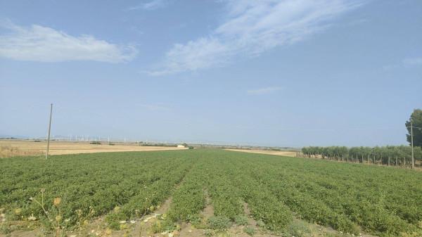 negozio in vendita a Foggia in zona Incoronata