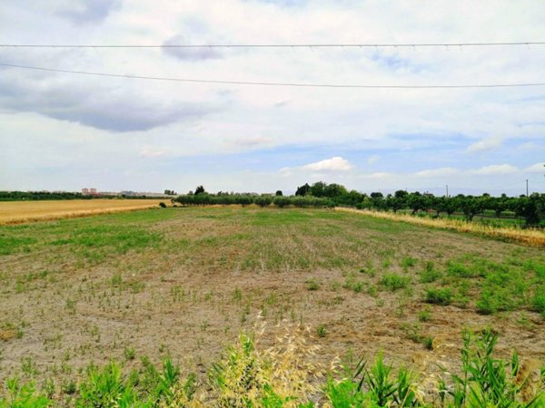 terreno agricolo in vendita a Foggia